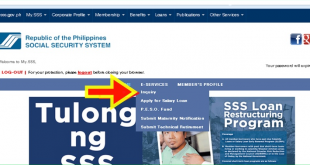Check SSS Contribution Online Step By Step Guide
