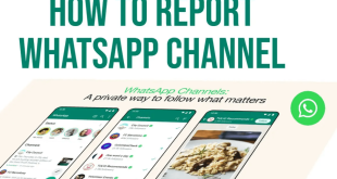 How to Report a Channel on WhatsApp